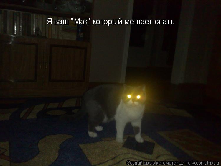 Я ваш "Мэк" который мешает спать... Котоматрица: Я ваш "Мэк" который мешает спать