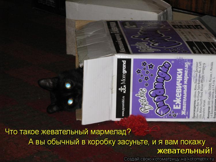 Котоматрица: Что такое жевательный мармелад? А вы обычный в коробку засуньте, и я вам покажу жевательный!