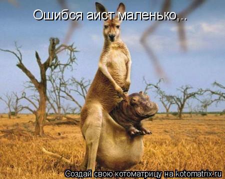 Ошибся аист маленько,..... Котоматрица: Ошибся аист маленько,..