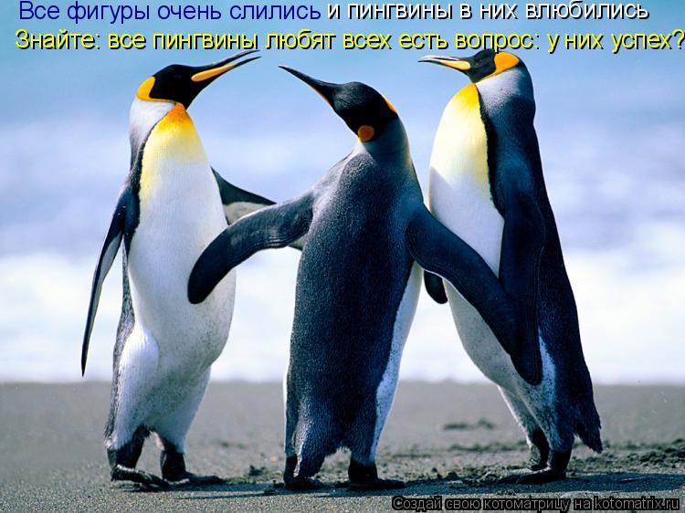 Все фигуры очень слились Все фигуры очень слились и пингвины в них влюбились Знайте: все пингвины люб... Котоматрица: Все фигуры очень слились Все фигуры очень слились и пингвины в них влюбились Знайте: все пингвины любят всех есть вопрос: у них успех?