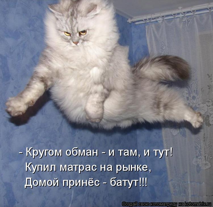 - Кругом обман - и там, и тут! Купил матрас на рынке, Домой принёс - батут!!!... Котоматрица: - Кругом обман - и там, и тут! Купил матрас на рынке, Домой принёс - батут!!!