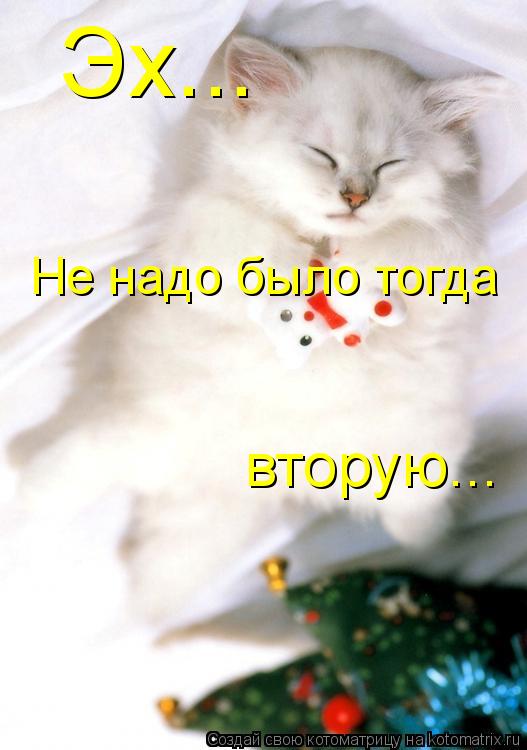 Эх... Не надо было тогда вторую...... Котоматрица: Эх... Не надо было тогда вторую...