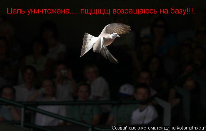 Котоматрица: Цель уничтожена.....пщщщщ возращаюсь на базу!!!.