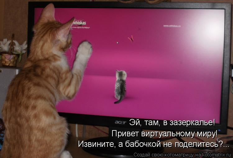 Котоматрица: Извините, а бабочкой не поделитесь?... Привет виртуальному миру! Эй, там, в зазеркалье!