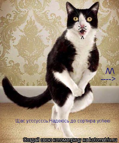 Котоматрица: ^ >< // ----> Щас усссусссь.Надеюсь до сортира успею.