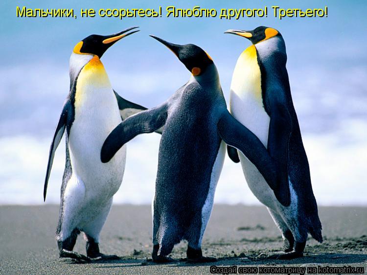 Мальчики, не ссорьтесь! Ялюблю другого! Третьего!... Котоматрица: Мальчики, не ссорьтесь! Ялюблю другого! Третьего!