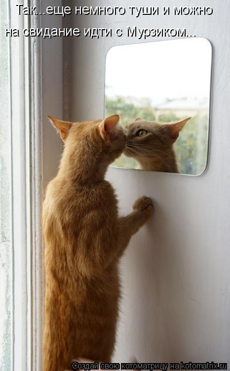 Так...еще немного туши и можно на свидание идти с Мурзиком...... Котоматрица: Так...еще немного туши и можно на свидание идти с Мурзиком...