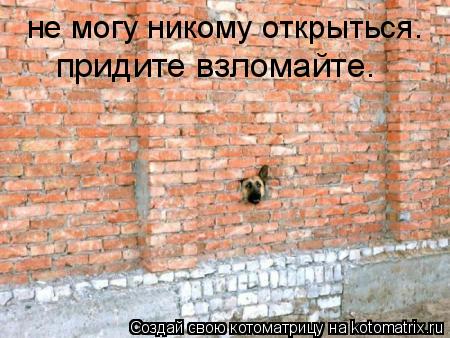 не могу никому открыться. придите взломайте.... Котоматрица: не могу никому открыться. придите взломайте.