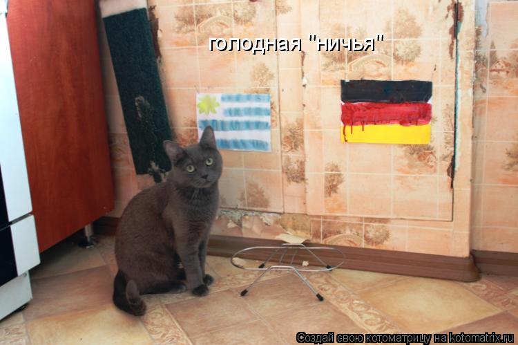 голодная "ничья"... Котоматрица: голодная "ничья"
