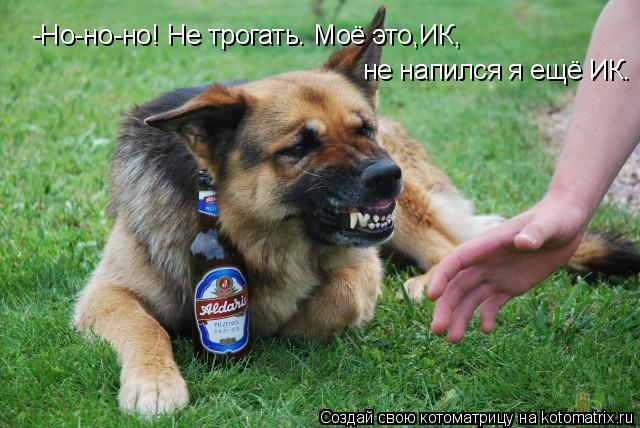 Котоматрица: -Но-но-но! Не трогать. Моё это,ИК, не напился я ещё ИК.