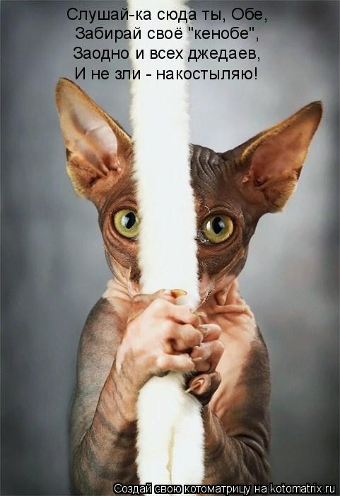 Котоматрица: Слушай-ка сюда ты, Обе, Забирай своё "кенобе", И не зли - накостыляю! Заодно и всех джедаев,
