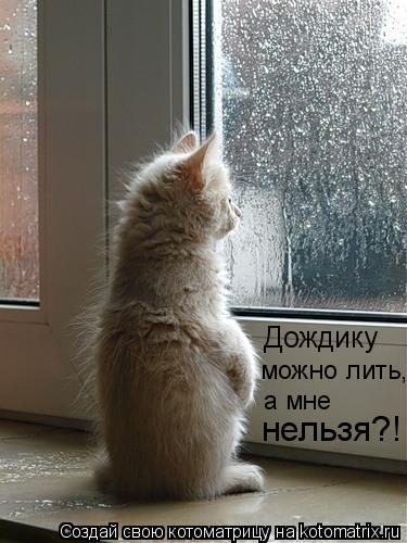 Котоматрица: Дождику можно лить, а мне нельзя?!