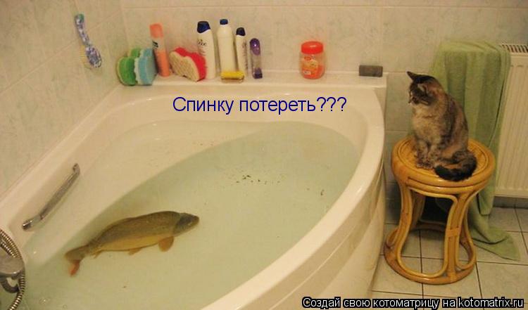 Спинку потереть???... Котоматрица: Спинку потереть???