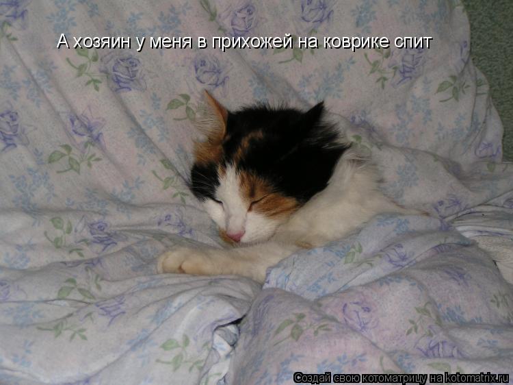 Котоматрица: А хозяин у меня в прихожей на коврике спит