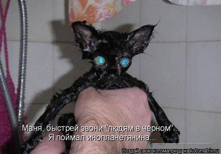 Я поймал инопланетянина... Маня, быстрей звони "людям в чёрном"...... Котоматрица: Я поймал инопланетянина... Маня, быстрей звони "людям в чёрном"...