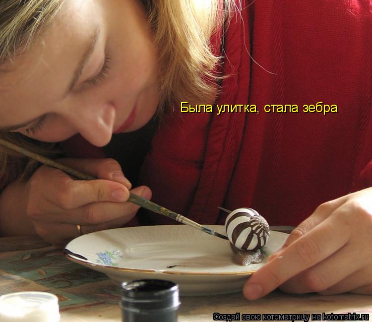Была улитка, стала зебра... Котоматрица: Была улитка, стала зебра