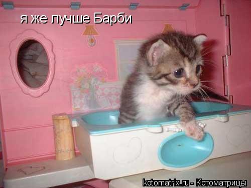 я же лучше Барби... Котоматрица: я же лучше Барби