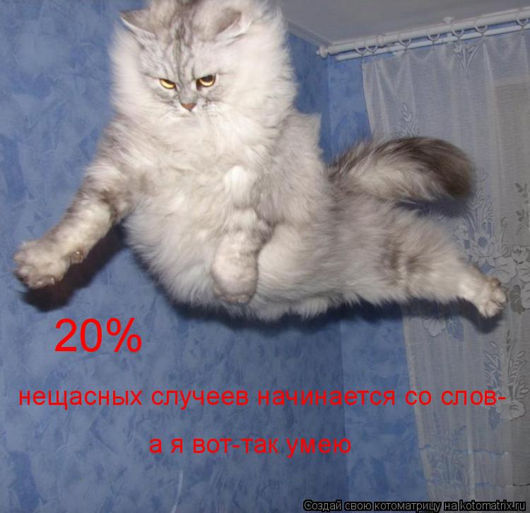20% нещасных случеев начинается со слов- а я вот-так умею... Котоматрица: 20% нещасных случеев начинается со слов- а я вот-так умею