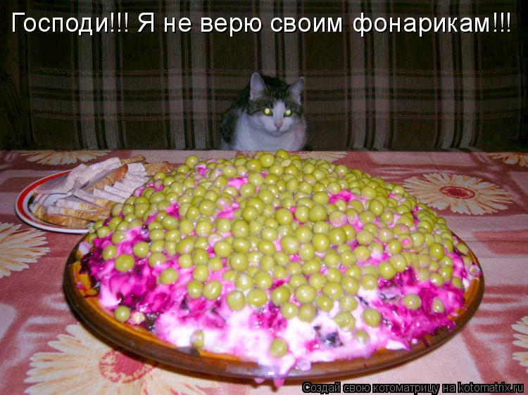 Господи!!! Я не верю своим фонарикам!!!... Котоматрица: Господи!!! Я не верю своим фонарикам!!!