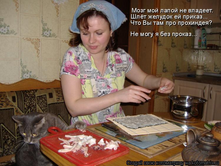 Котоматрица: Мозг мой лапой не владеет. Шлёт желудок ей приказ... Что Вы там про прохиндея? Не могу я без проказ...