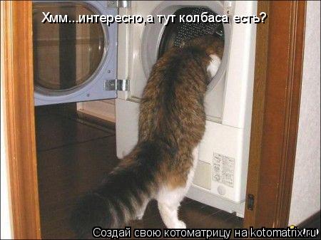 Хмм...интересно,а тут колбаса есть?... Котоматрица: Хмм...интересно,а тут колбаса есть?