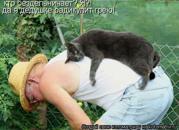 кто бездельничает? Я?! да я дедушке радикулит грею!... Котоматрица: кто бездельничает? Я?! да я дедушке радикулит грею!