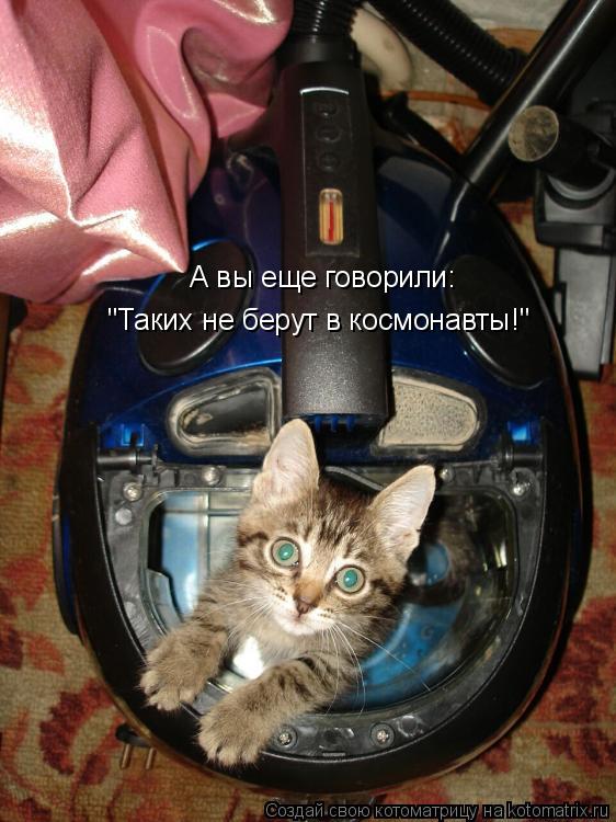 А вы еще говорили: "Таких не берут в космонавты!"... Котоматрица: А вы еще говорили: "Таких не берут в космонавты!"
