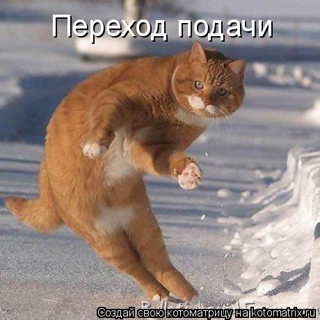 Переход подачи... Котоматрица: Переход подачи
