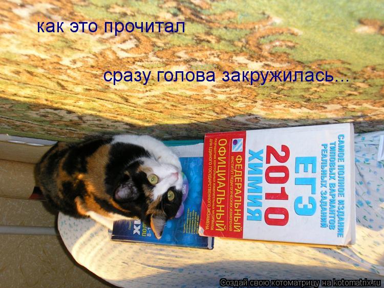 Котоматрица: как это прочитал сразу голова закружилась...