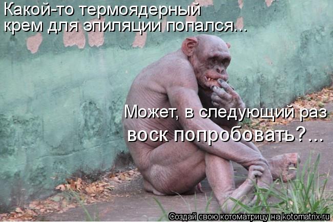 Котоматрица: Какой-то термоядерный  крем для эпиляции попался...  Может, в следующий раз  воск попробовать?...