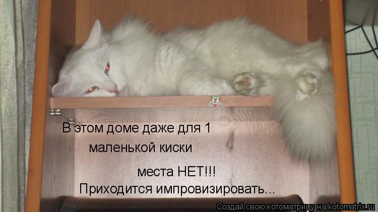 Котоматрица: В этом доме даже для 1 маленькой киски места НЕТ!!! Приходится импровизировать...