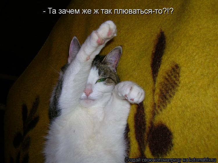 Котоматрица: - Та зачем же ж так плюваться-то?!?