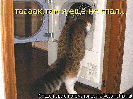 Котоматрица: таааак,там я ещё не спал...