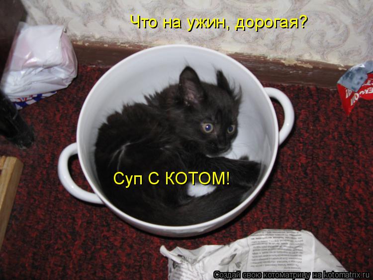 Котоматрица: Что на ужин, дорогая? Суп С КОТОМ!