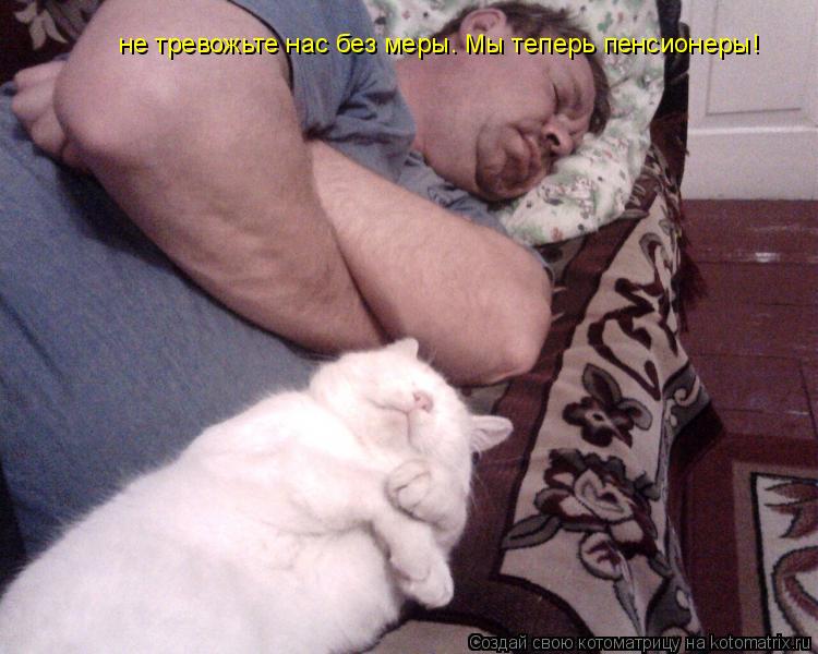 Котоматрица: не тревожьте нас без меры. Мы теперь пенсионеры!