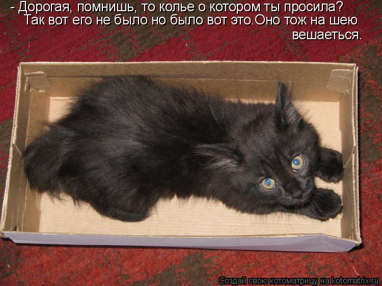 Котоматрица: - Дорогая, помнишь, то колье о котором ты просила? Так вот его не было но было вот это.Оно тож на шею вешаеться.