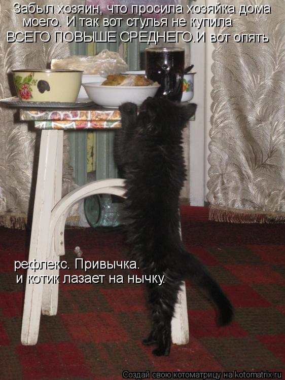 Котоматрица: Забыл хозяин, что просила хозяйка дома моего. И так вот стулья не купила  ВСЕГО ПОВЫШЕ СРЕДНЕГО.И вот опять рефлекс. Привычка. и котик лазает 