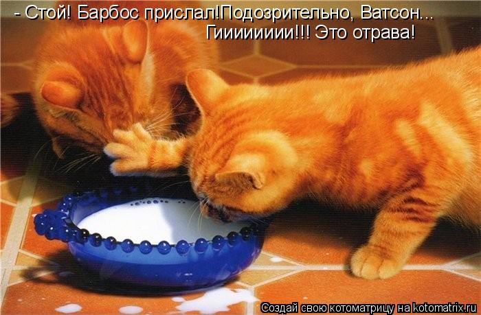 Котоматрица: - Стой! Барбос прислал!Подозрительно, Ватсон... Гииииииии!!! Это отрава!