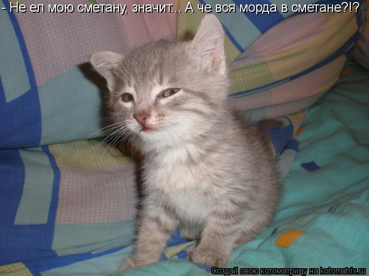 Котоматрица: - Не ел мою сметану, значит... А че вся морда в сметане?!?