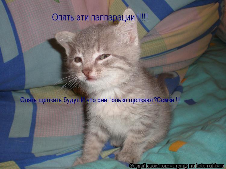 Котоматрица: Опять эти паппарации !!!!!  Опять щелкать будут.И что они только щелкают?Семки !!!