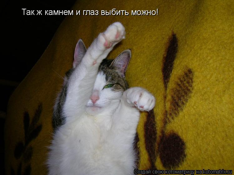 Котоматрица: Так ж камнем и глаз выбить можно!