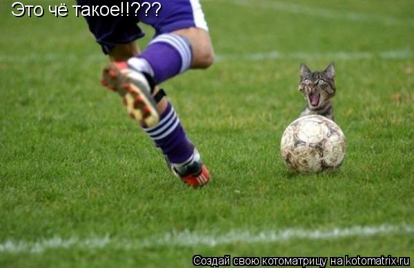 Котоматрица: Это чё такое!!???