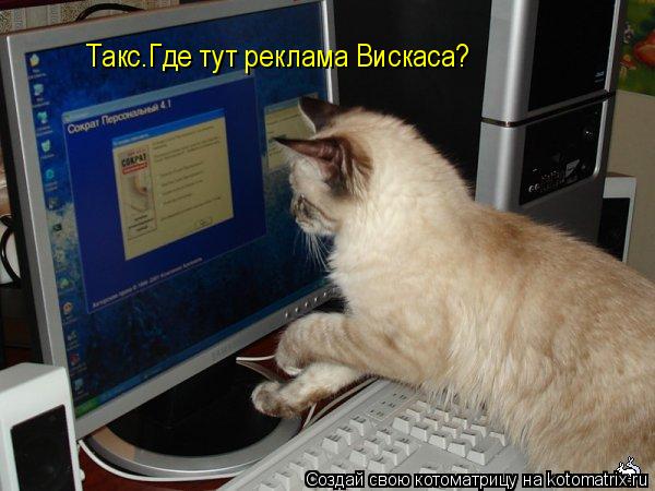 Котоматрица: Такс.Где тут реклама Вискаса?