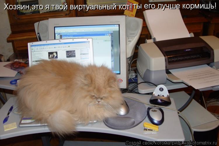Котоматрица: Хозяин,это я твой виртуальный кот! ты его лучше кормишь!