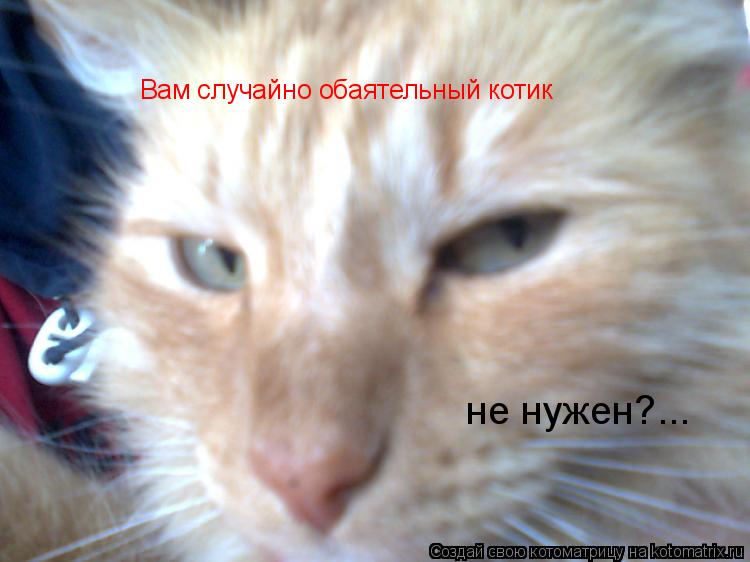 Котоматрица: Вам случайно обаятельный котик не нужен?...