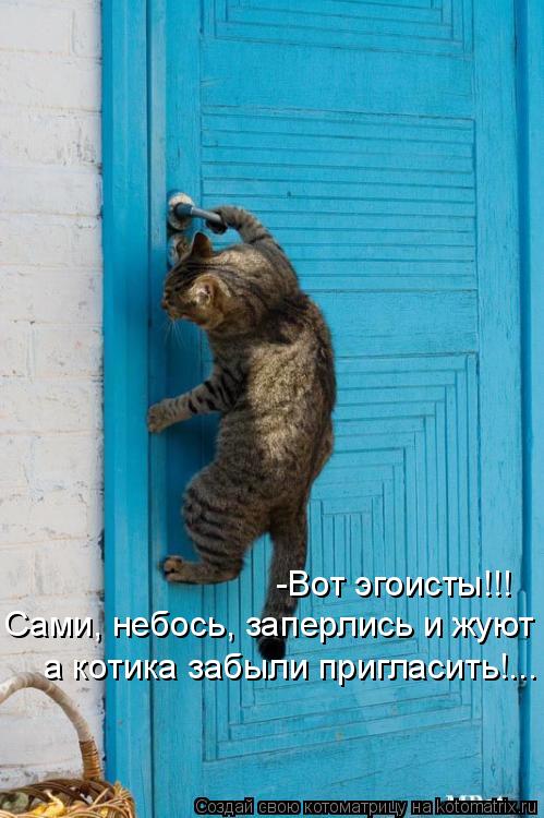 Котоматрица: -Вот эгоисты!!! Сами, небось, заперлись и жуют а котика забыли пригласить!...