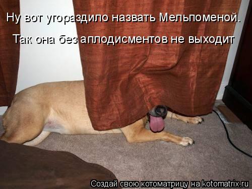 Котоматрица: Ну вот угораздило назвать Мельпоменой. Так она без аплодисментов не выходит