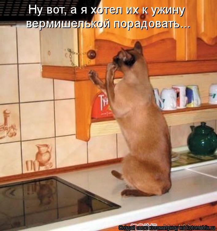 Котоматрица: Ну вот, а я хотел их к ужину  вермишелькой порадовать...