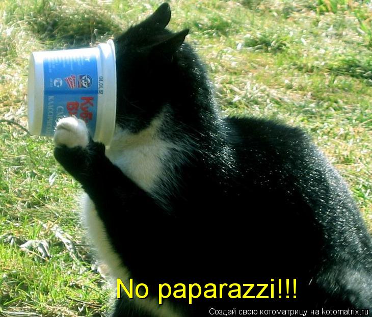 Котоматрица: No paparazzi!!!