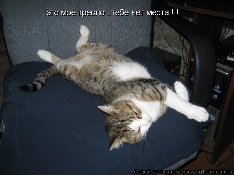 Котоматрица: это моё кресло...тебе нет места!!!!